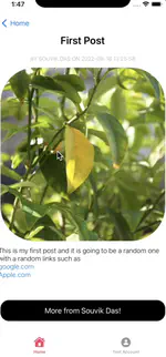 iOS-Blog Application